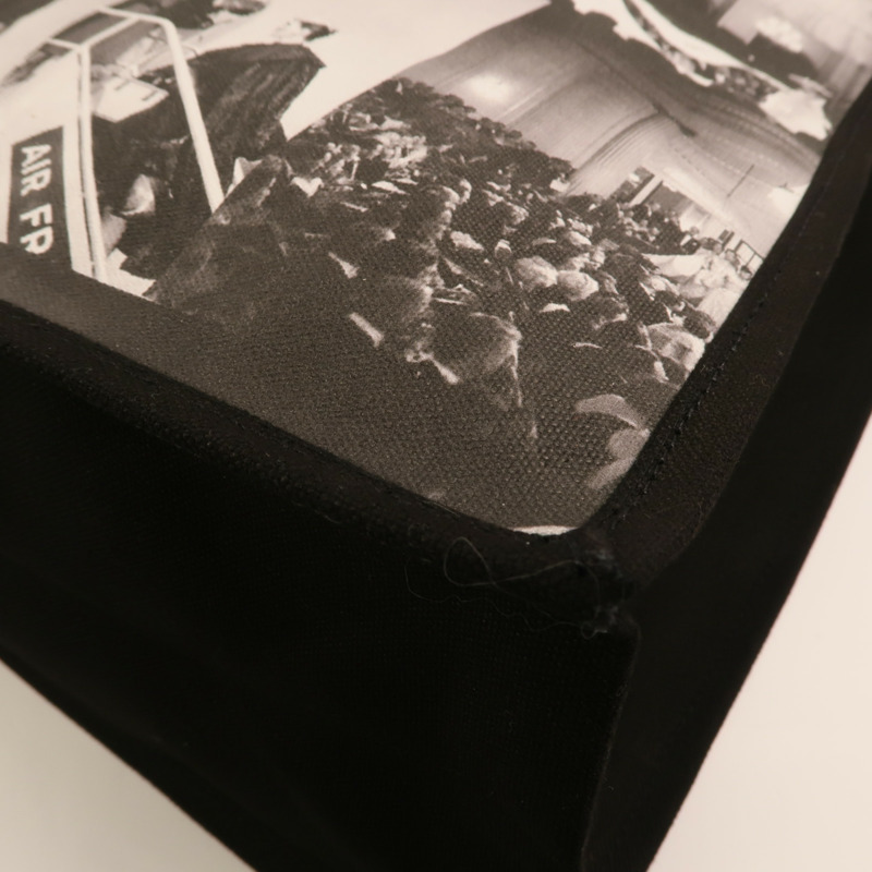 Dior 帆布Cruise 2025 Tote Bag銀扣肩背袋-10