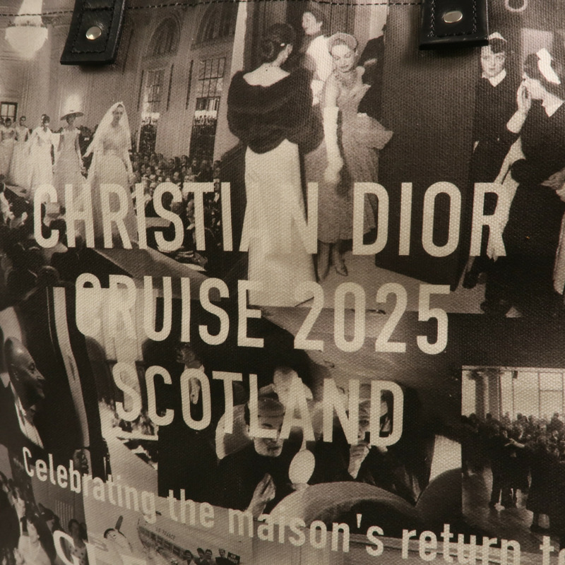 Dior 帆布Cruise 2025 Tote Bag銀扣肩背袋-12