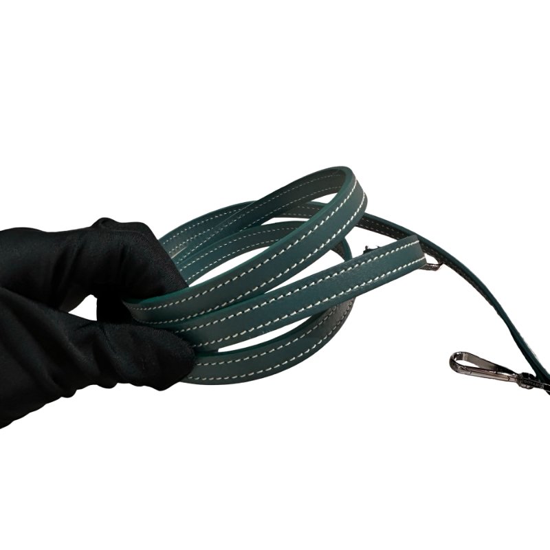 Used GOYARD Vanity case Shoulder Bag Green PHW-18