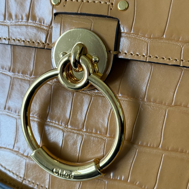 Tess Small Bag 壓鱷魚紋牛皮肩背/斜背二用包(秋葉棕)-7