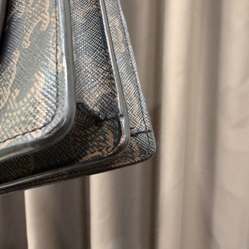 Celine PVC咖牛皮斜背WOC-9