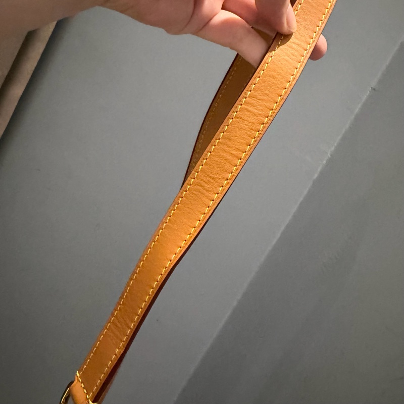 Louis Vuitton LV Mini Soft Trunk 金鏈 斜背包-18