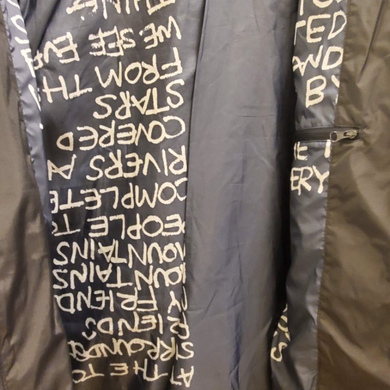 The North Face D2 Utility Energy Jacke-1