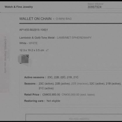 CHANEL 香奈兒 白金配woc-12