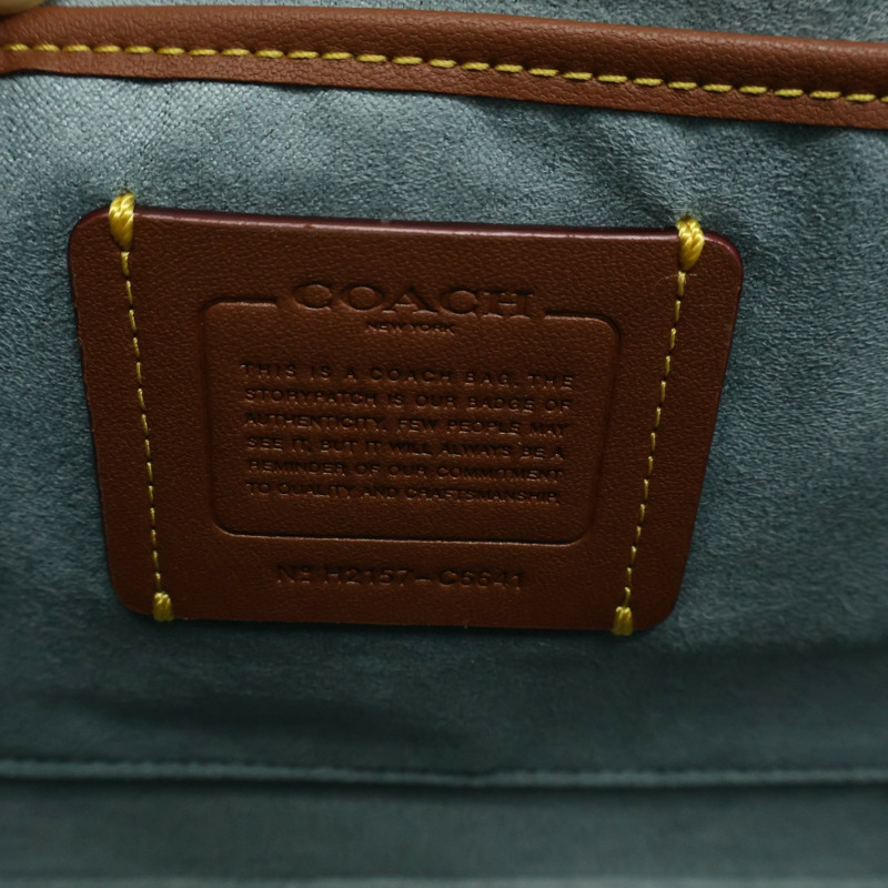 綠色牛皮 肩背包 C6641【COACH 寇馳】 C6641-6