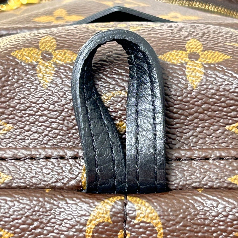 LV Palm Springs 老花迷你小書包後背包-16