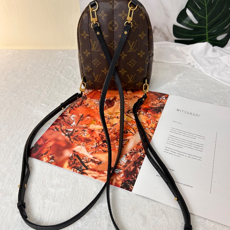 LV Palm Springs 老花迷你小書包後背包-22