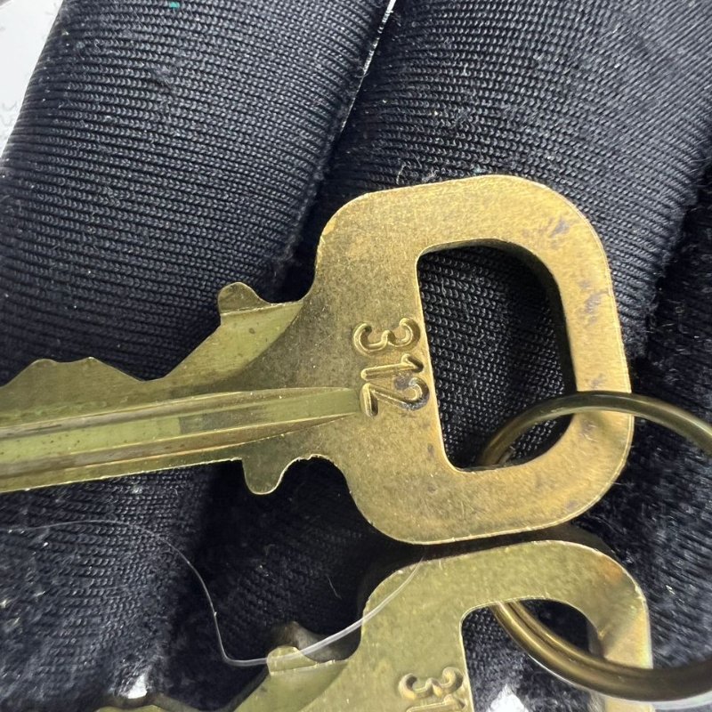 Louis Vuitton 經典 Speedy 枕頭包-13