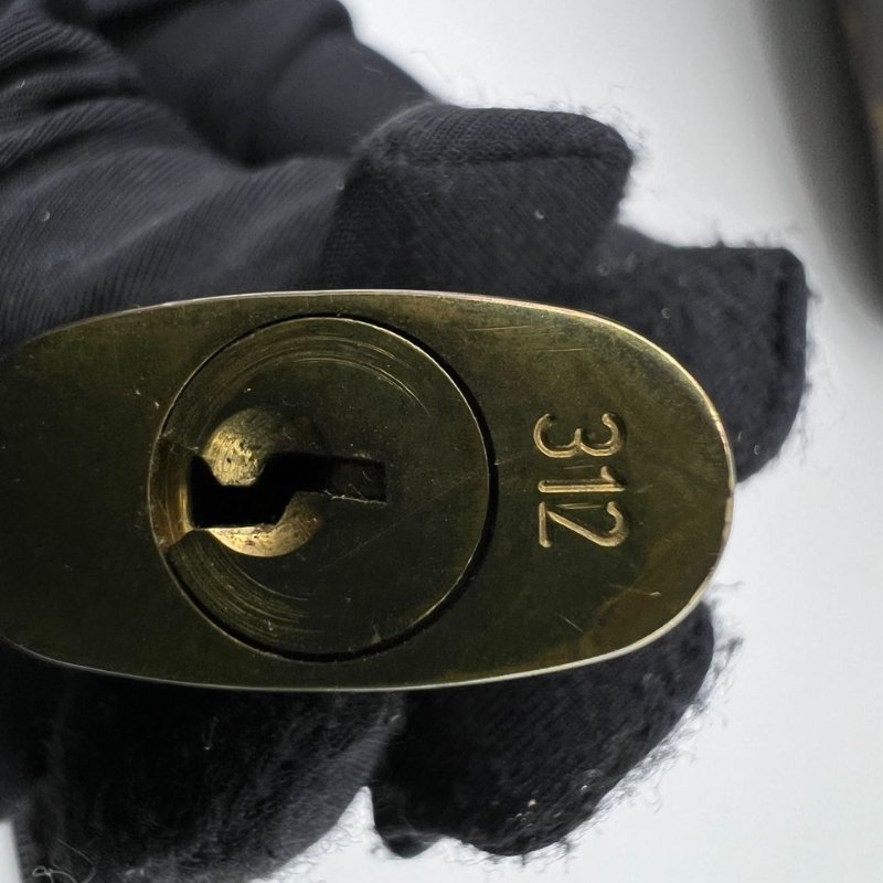 Louis Vuitton 經典 Speedy 枕頭包-16