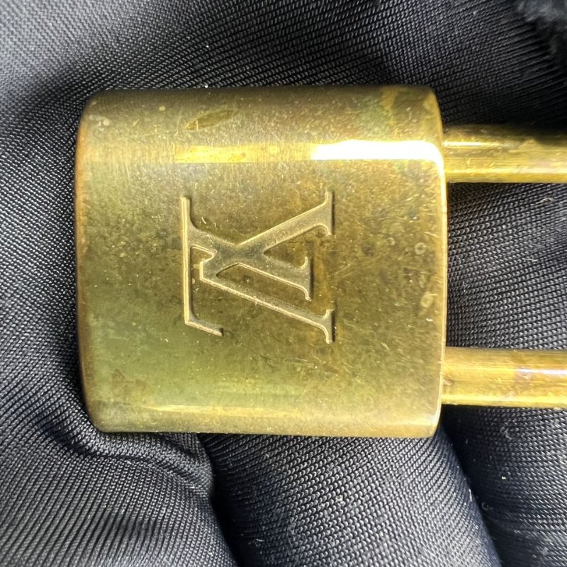 Louis Vuitton 經典 Speedy 枕頭包-17