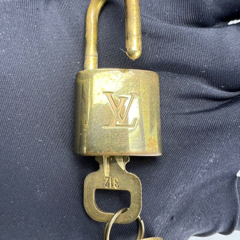 Louis Vuitton 經典 Speedy 枕頭包-19