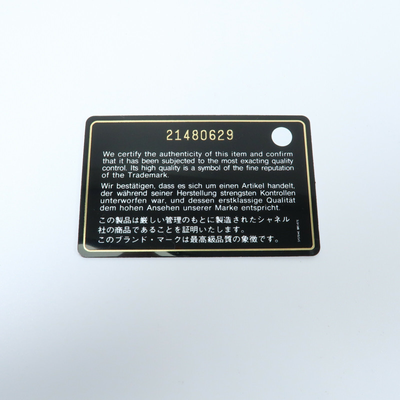 CHANEL 牛皮皮革WOC Wallet On Chain銀扣肩背袋-5