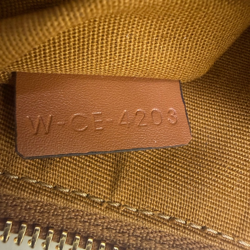 Celine Trimphe Hobo Bag-13