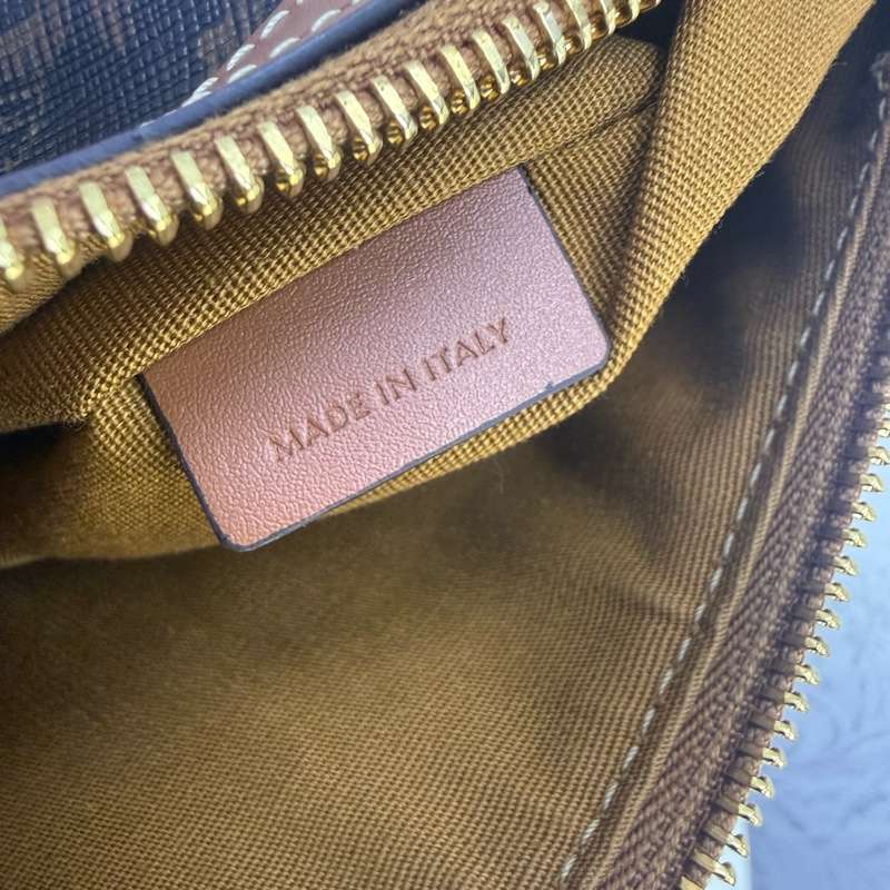 Celine Trimphe Hobo Bag-14