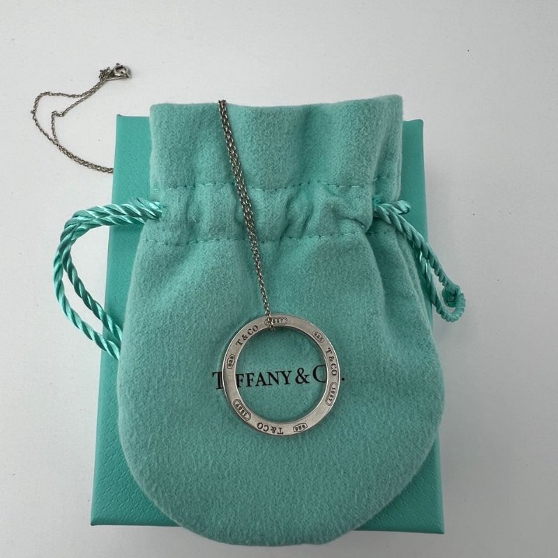 Tiffany & Co. 1837 系列圓環墜飾項鍊-0