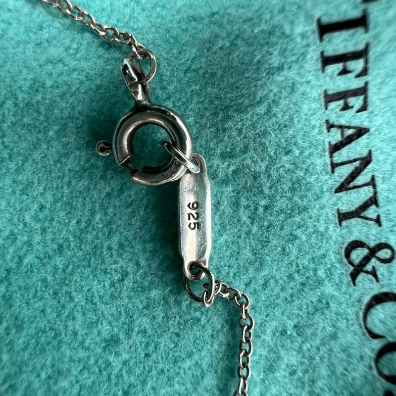 Tiffany & Co. 1837 系列圓環墜飾項鍊-2