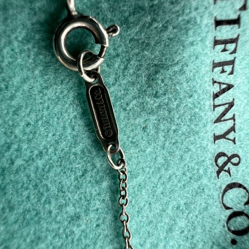 Tiffany & Co. 1837 系列圓環墜飾項鍊-5