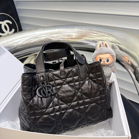 Dior 迪奥 toujours 土著包