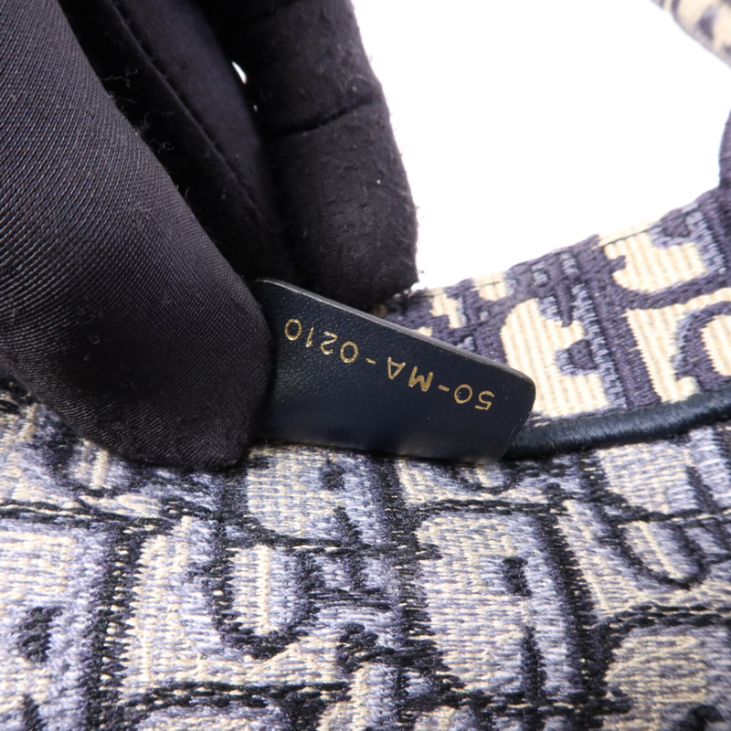Dior 帆布Book Tote Medium手挽袋-6