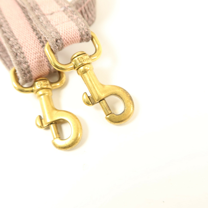 Dior 帆布Mini Vertical Book Tote金扣手挽肩背兩用袋-8