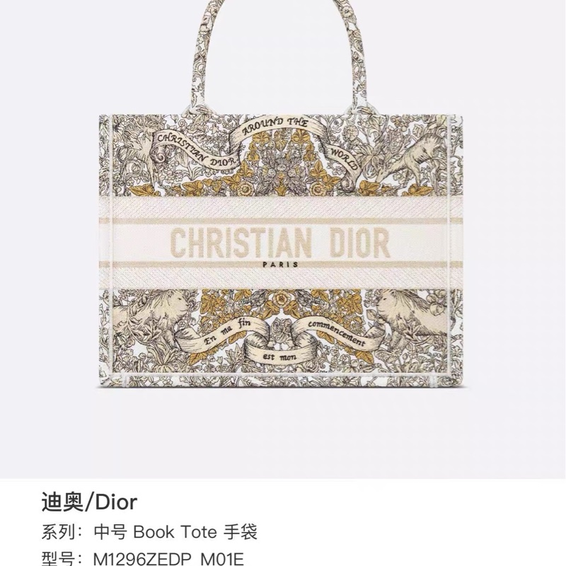 Dior 迪奥Book Tote-5