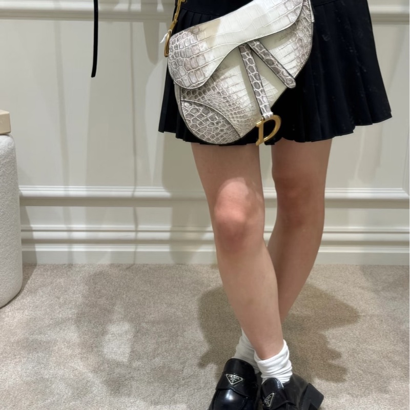 Dior 迪奥 喜马拉雅 中号马鞍包-3