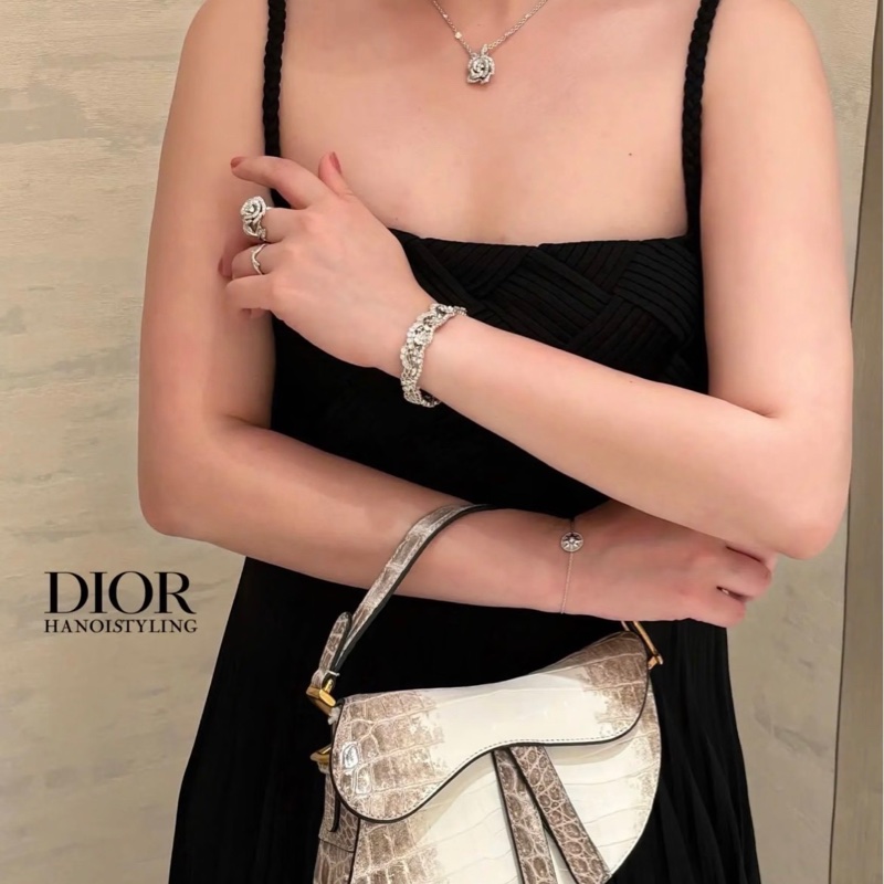 Dior 迪奥 喜马拉雅 中号马鞍包-4