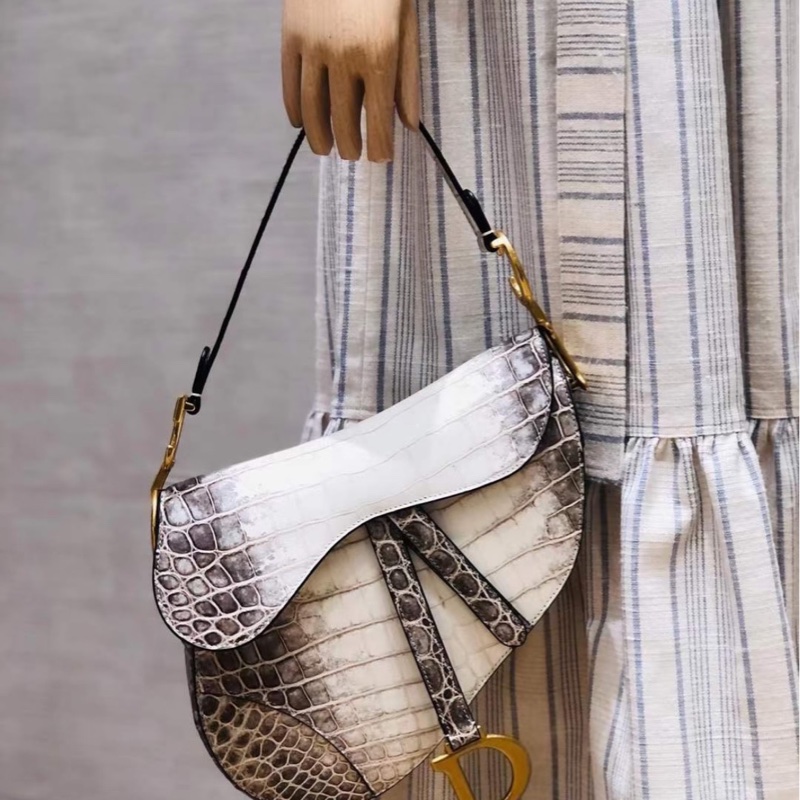 Dior 迪奥 喜马拉雅 中号马鞍包-5