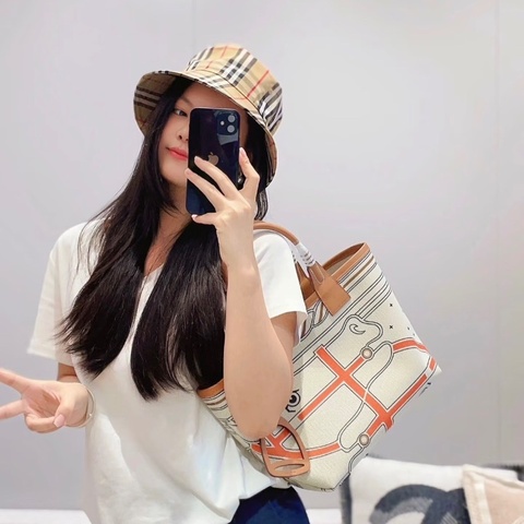 Hermes Steeple 新款印花編織帆布包 28*28.5*17  99新配件塵袋 盒子 購證 冊子 吊牌 皮牌