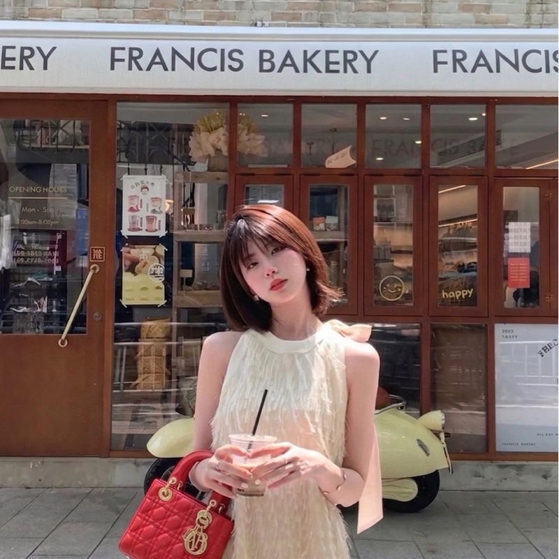 閒置近新❤️Dior迪奧 紅金羊皮金扣 四格戴妃徽章款 尺寸20*17*8-0