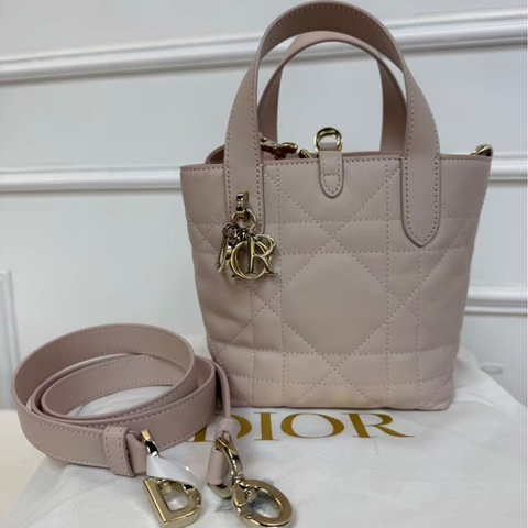 DIOR迪奧 Toujours土著包 胭脂粉色 金扣 牛皮