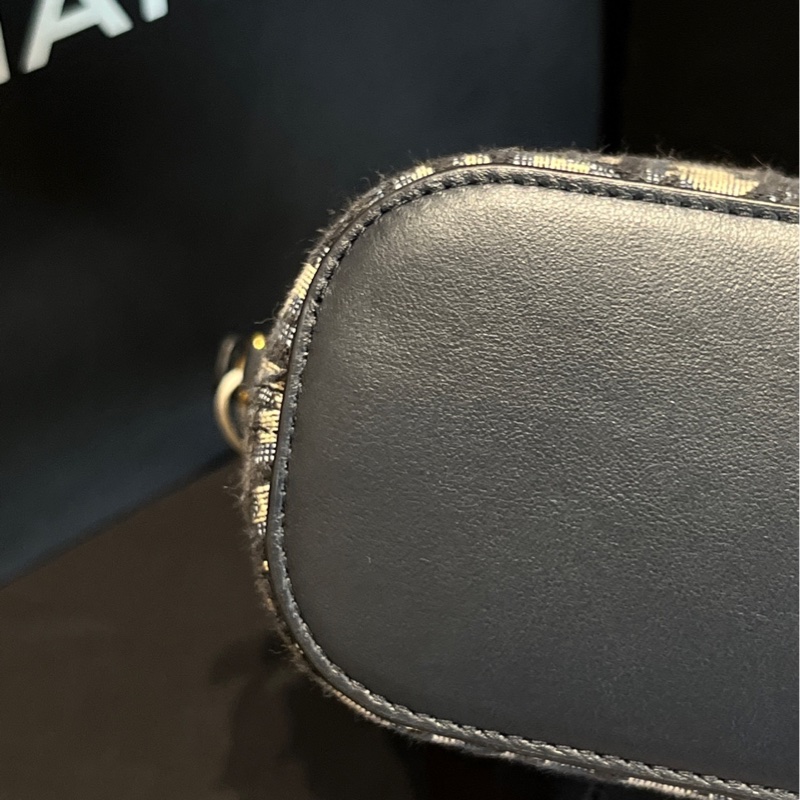 迪奧Dior 老花Montaigne迷你薯條包-4