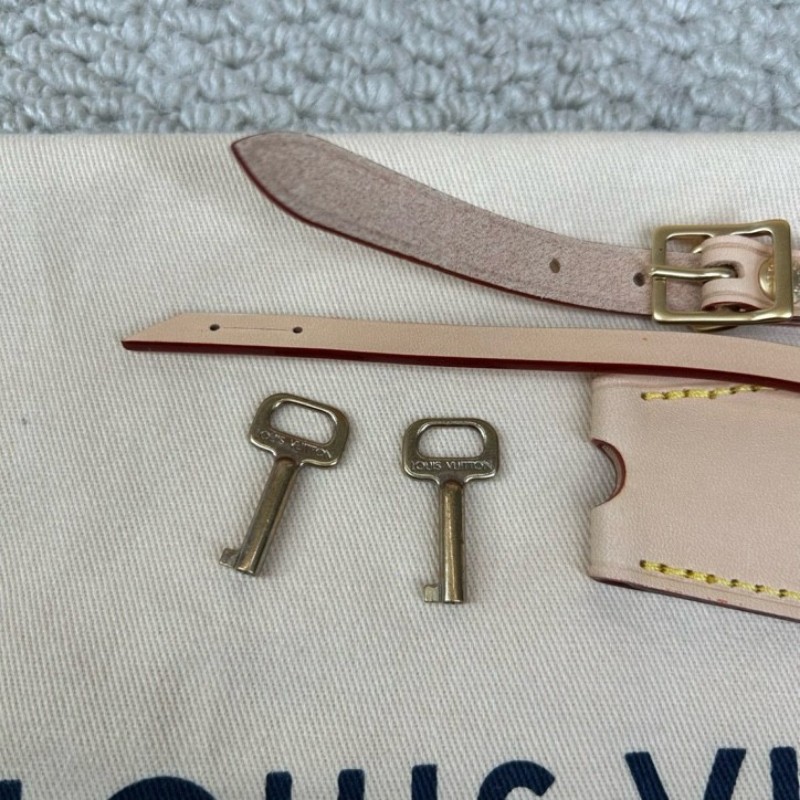 LV路易威登聯名貓貓catogram硬箱包 芯片款 米色老花帆布 金色五金 貓咪挂飾 內裡手繪LV標籤 可單肩可斜挎可手提 容量適中 日常出門很方便-20