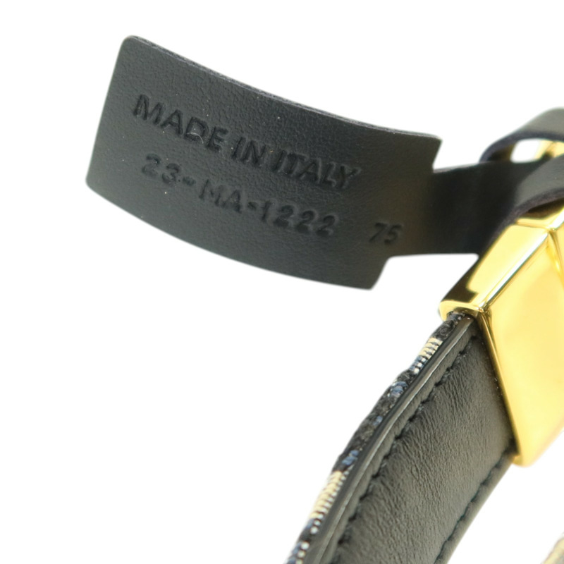 Dior Obriqur帆布Belt 75cm金扣腰帶-4