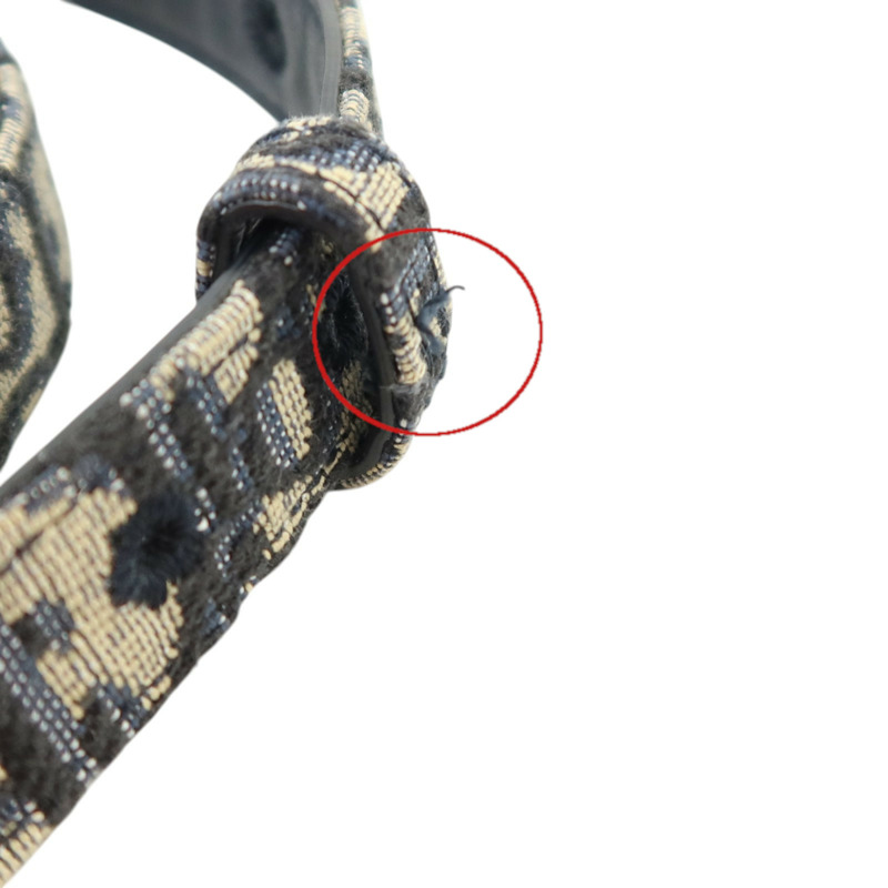 Dior Obriqur帆布Belt 75cm金扣腰帶-6
