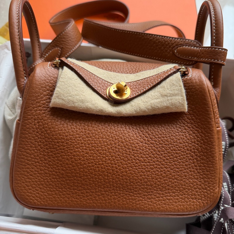 Hermes mini Lindy 金棕金-2