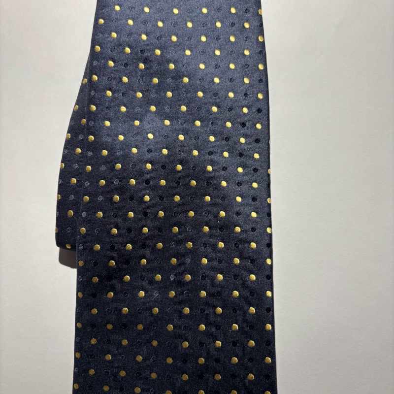 法國Lanvin領帶-4