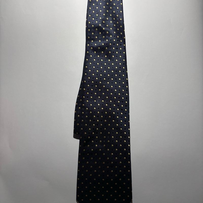 法國Lanvin領帶-5