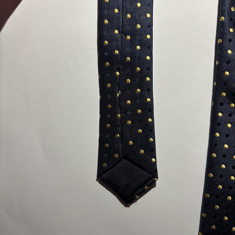 法國Lanvin領帶-7