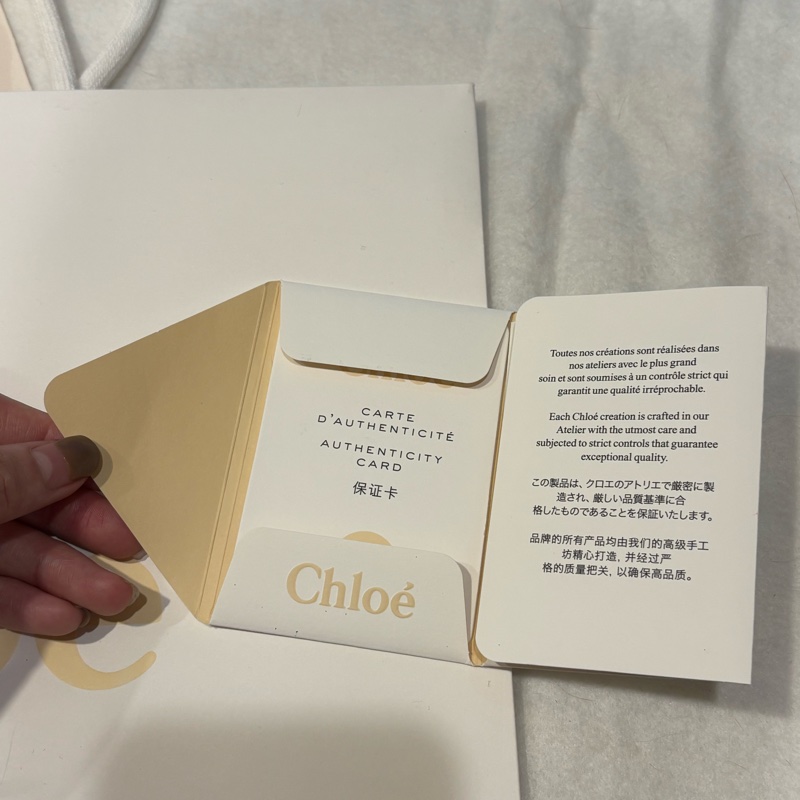 Chloe mini woody 棕色-16