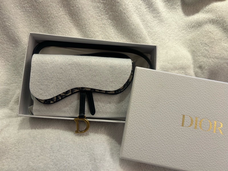 Dior saddle 馬鞍老花腰包-4
