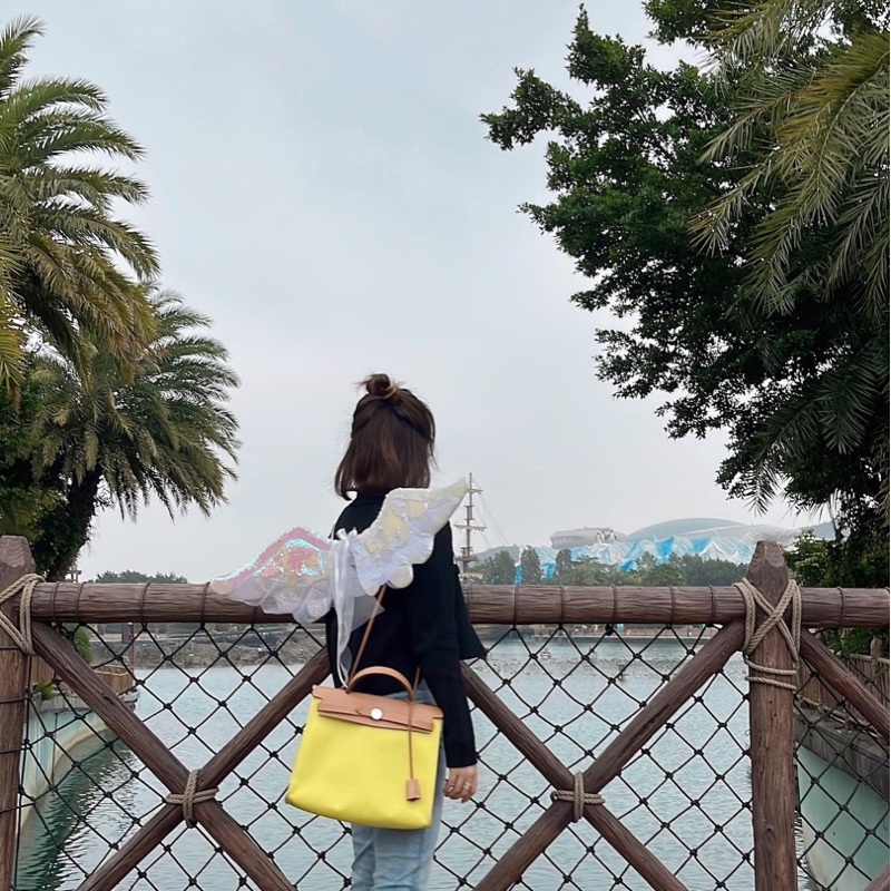 Hermes愛馬仕Herbag31 黃色拼棕色 帆布拼皮-6