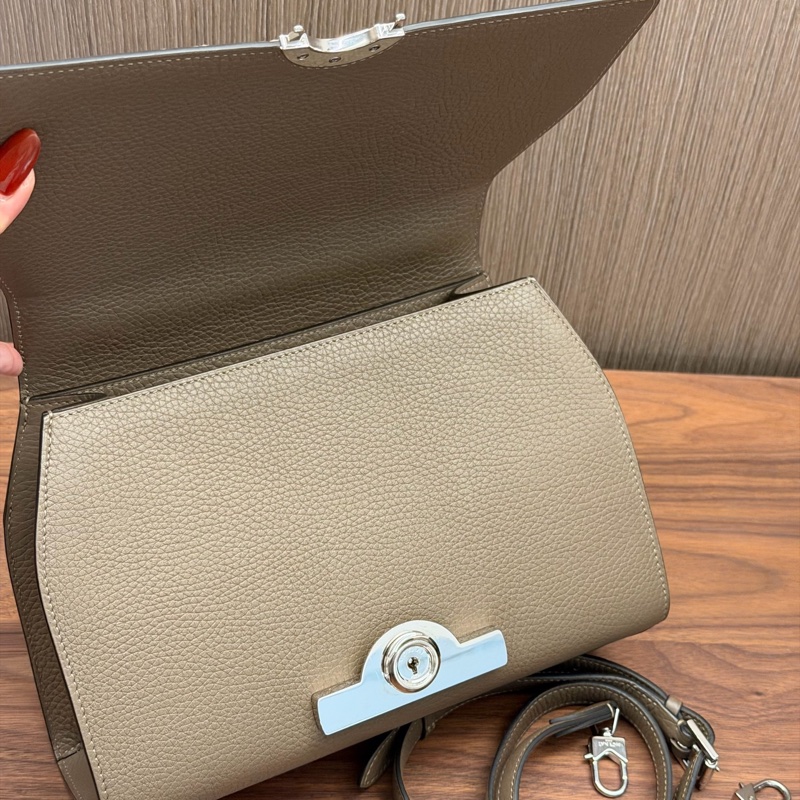 Moynat莫奈經典款rejane大象灰牛皮銀扣中號手提斜挎包-2