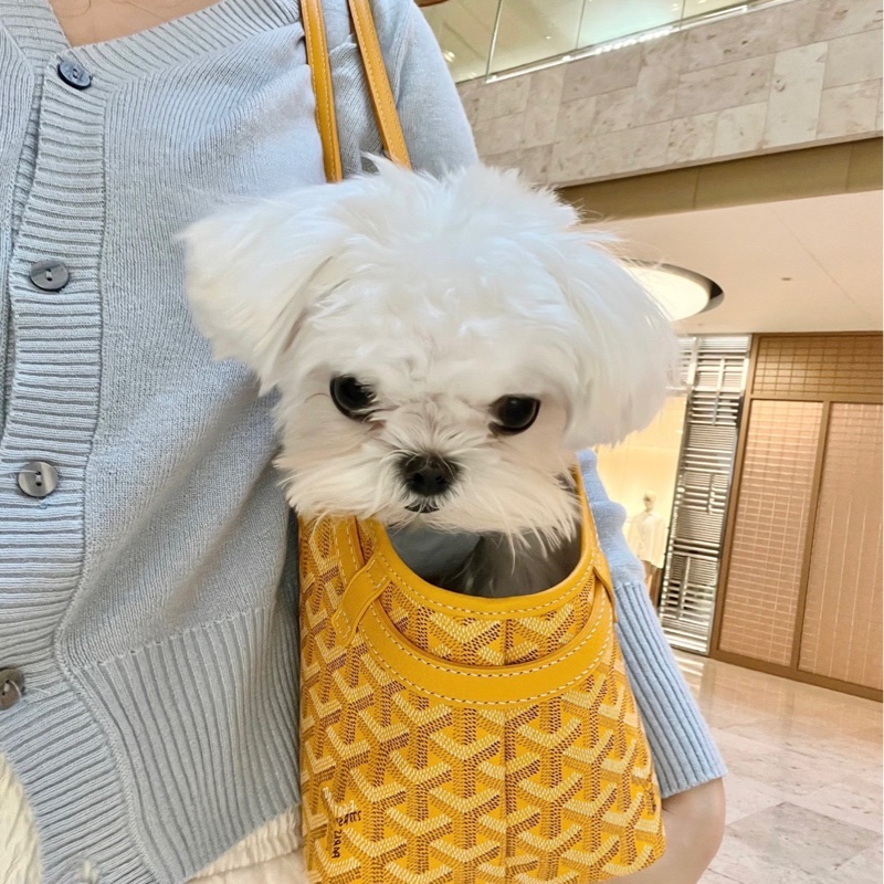 Goyard戈雅tote 22年生產，尺寸33.5*15*27cm 附件：塵袋-4