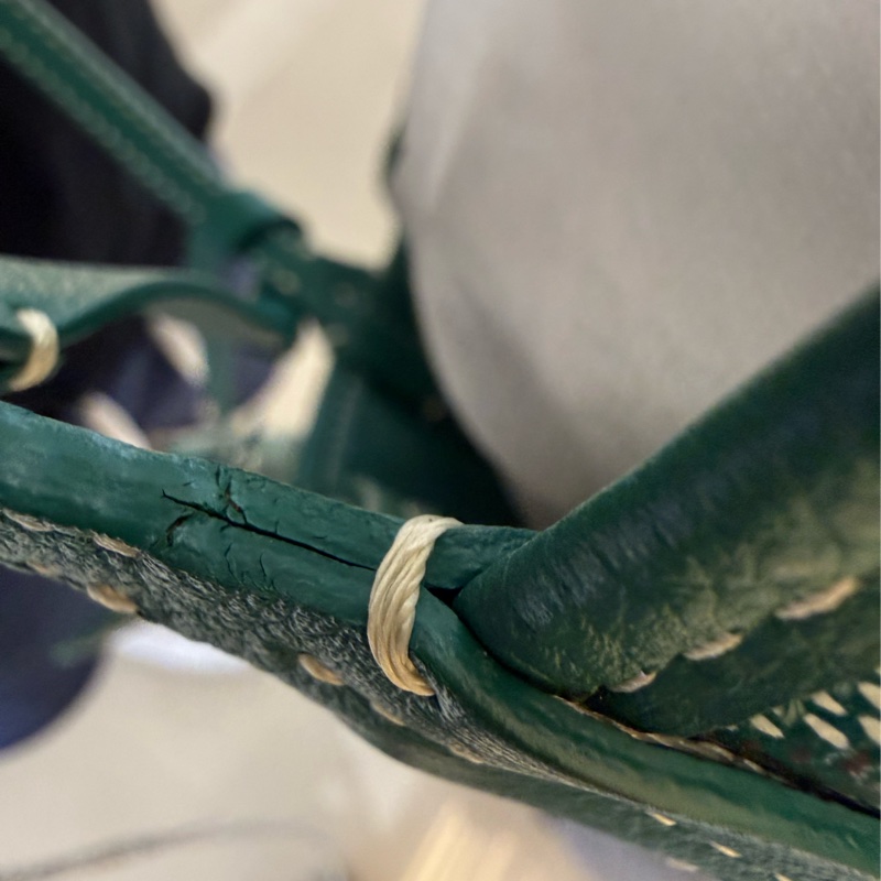 閒置新品GOYARD綠色全皮雙面mini tote托特包購物袋-21