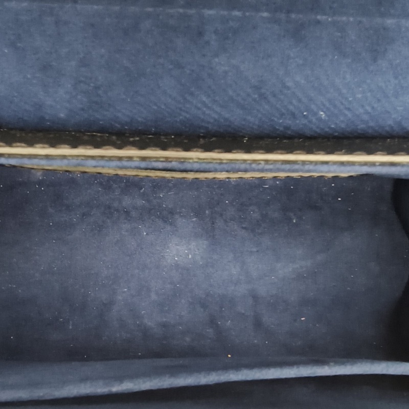 LOUIS VUITTON TWIST中號圖案水波紋牛皮金扣亮片刺繡巨嘴鳥限量款-5