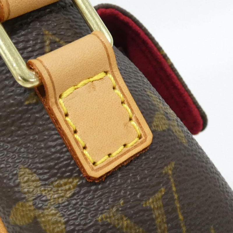 路易威登 Monogram Viva Cite PM M51165 肩背包-3