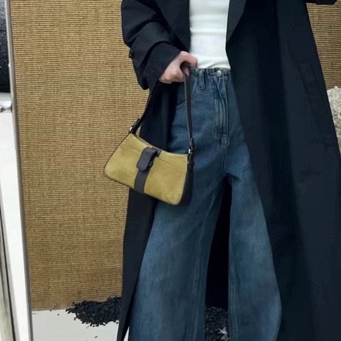 Loewe 羅意威 麂皮腋下  尺寸24*11。🈚附件