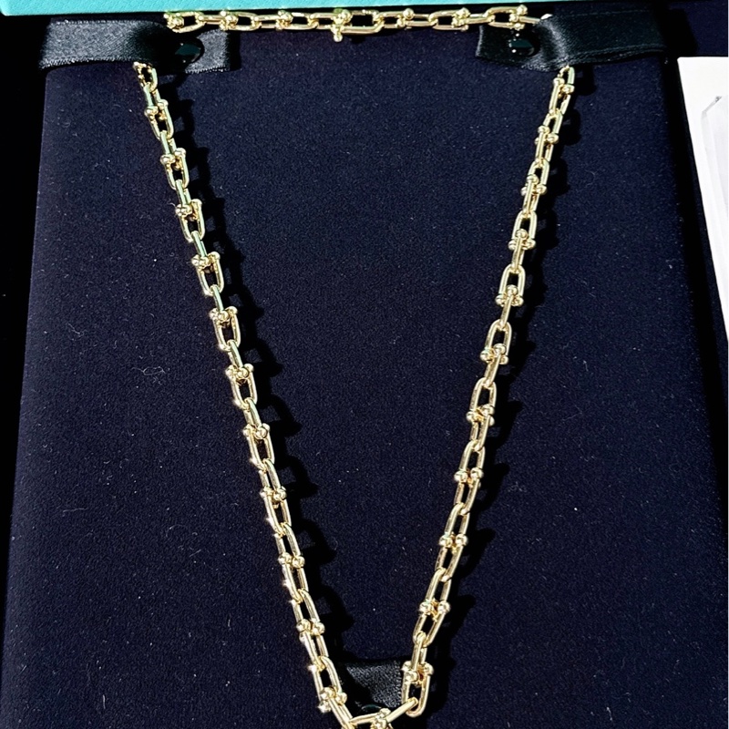 Tiffany 蒂芙尼 HardWear系列 小號鏈環項鍊-1