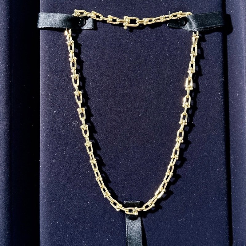 Tiffany 蒂芙尼 HardWear系列 小號鏈環項鍊-2